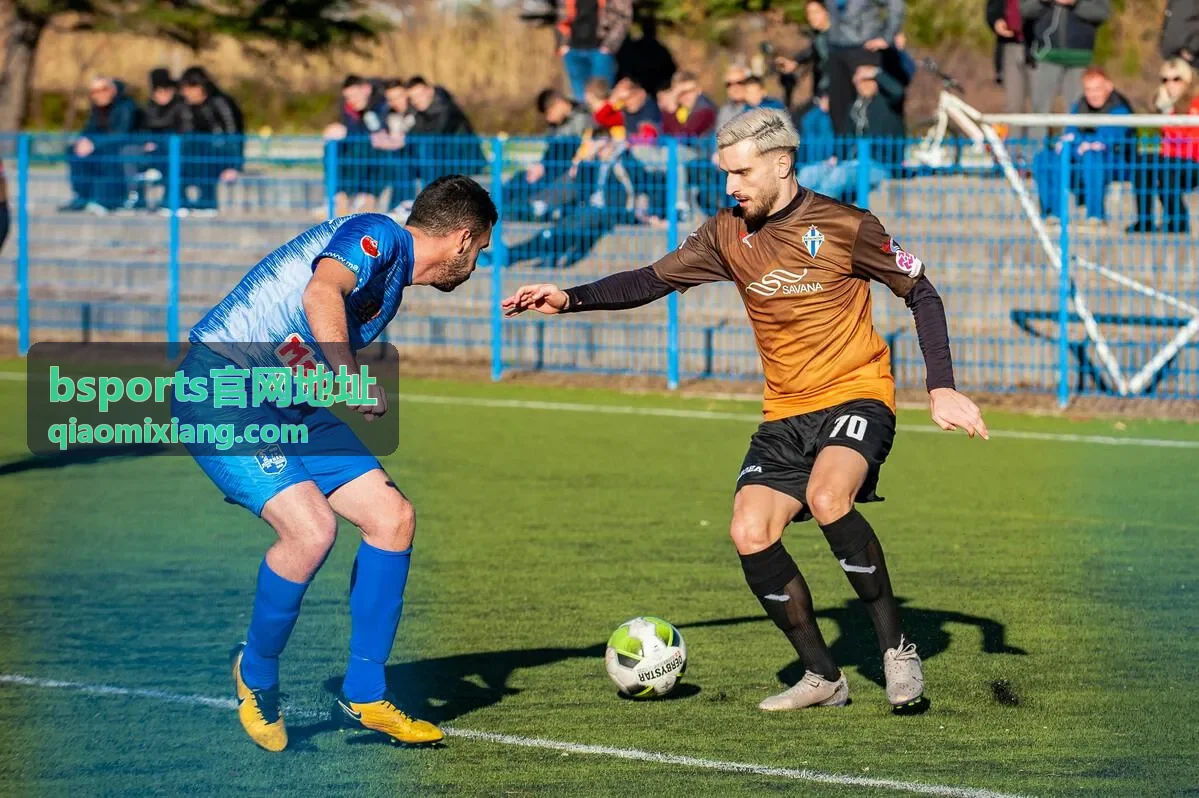 bsports赛后回放功能截图